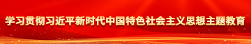 逼操出奶学习贯彻习近平新时代中国特色社会主义思想主题教育